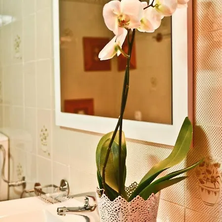 Apartment Quinta Amendoeiras Albufeira