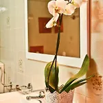 Appartement Quinta Amendoeiras Albufeira