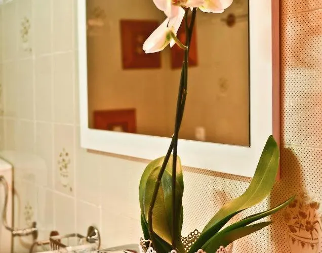 아파트 Quinta Amendoeiras 알부페이라